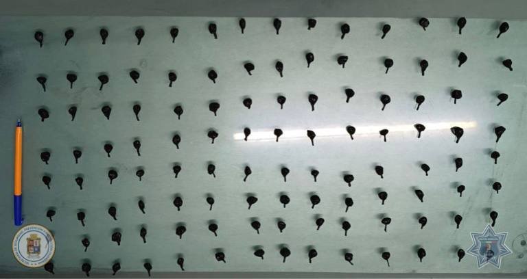 Detienen a hombre con más de 100 dosis de droga en León.