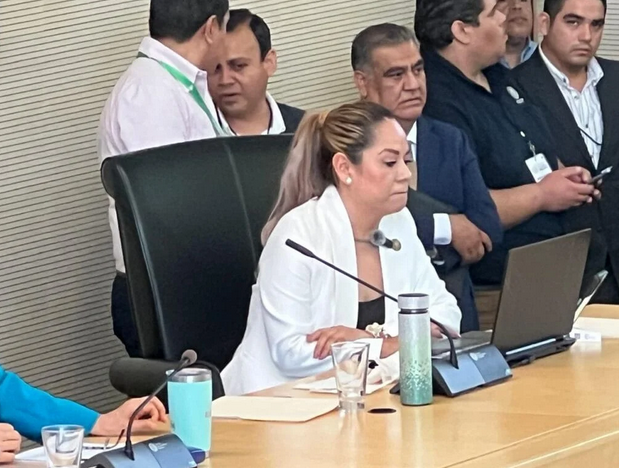 Renuncia diputada Itzel Mendo al Partido Verde, fue heroína de los grupos provida al cambiar el sentido de su voto para impedir la despenalización del aborto en Guanajuato.