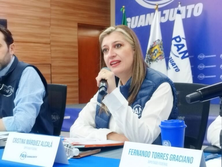 ‘Este gobierno que alardea de los Derechos Humanos es el primer violentador y transgresor de los derechos humanos de éste país’ dijo la diputada federal Cristina Márquez ante el rechazo del gobierno federal de que el país vive una crisis en desaparición forzada señalado por la ONU.