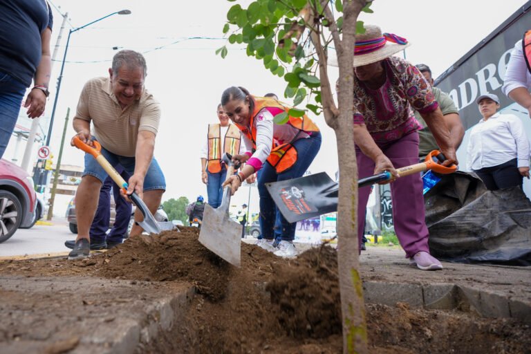 León fortalece su legado verde con más de 62 mil árboles plantados y 104 mil recuperados.