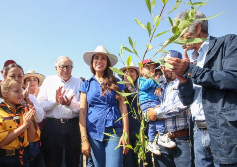 Guanajuato se suma a Jornada Nacional de Reforestación; plantarán más de 4 mil árboles en 265 hectáreas.