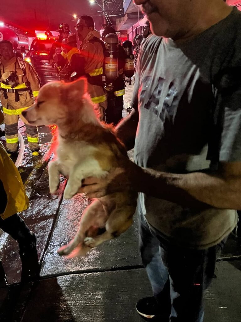 Entre humo y fuego, rescatan a vecinos y a dos perritos en La Ermita.